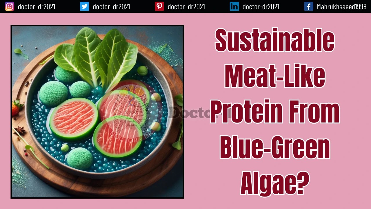 Sustainable Meat-Like Protein From Blue-Green Algae?