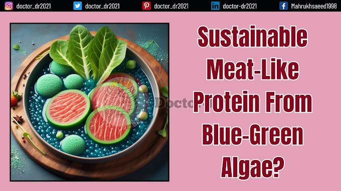 Sustainable Meat-Like Protein From Blue-Green Algae?