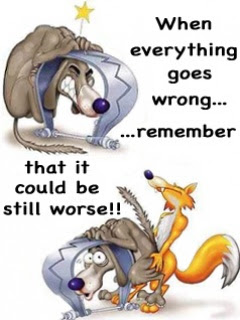 funny picture, cartoon, quotes, wolf, fox, funny