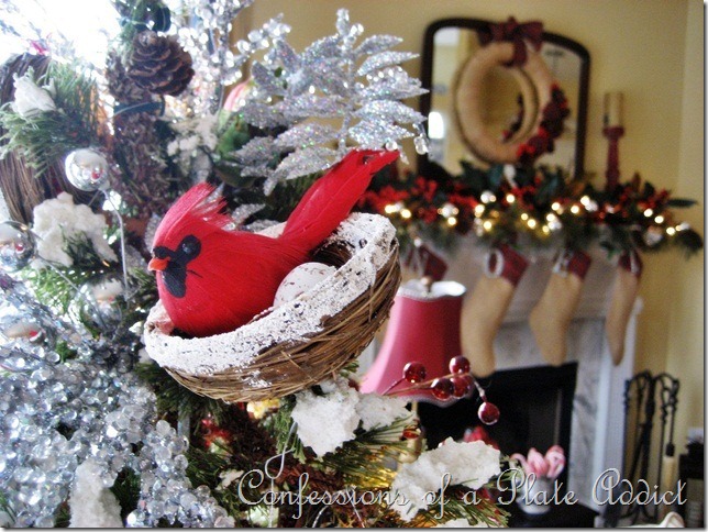 CONFESSIONS OF A PLATE ADDICT Cardinal Tree CONFESSIONS OF A PLATE ADDICT Cardinal Tree