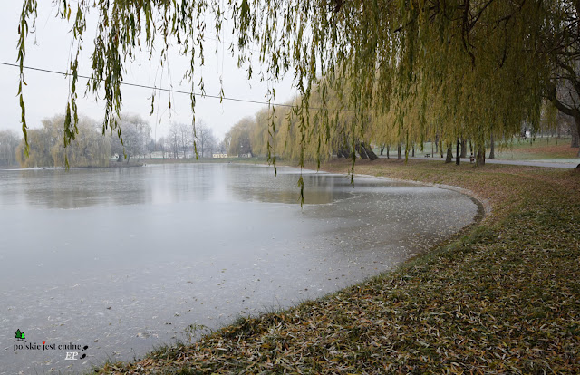 slupia-jedrzejowska-staw-park-wierzby