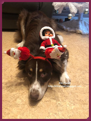 kiki monchhichi noël christmas berger australien australian shepherd