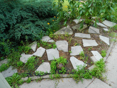 Toronto front garden cleanup in The Pocket before by Paul Jung Gardening Services