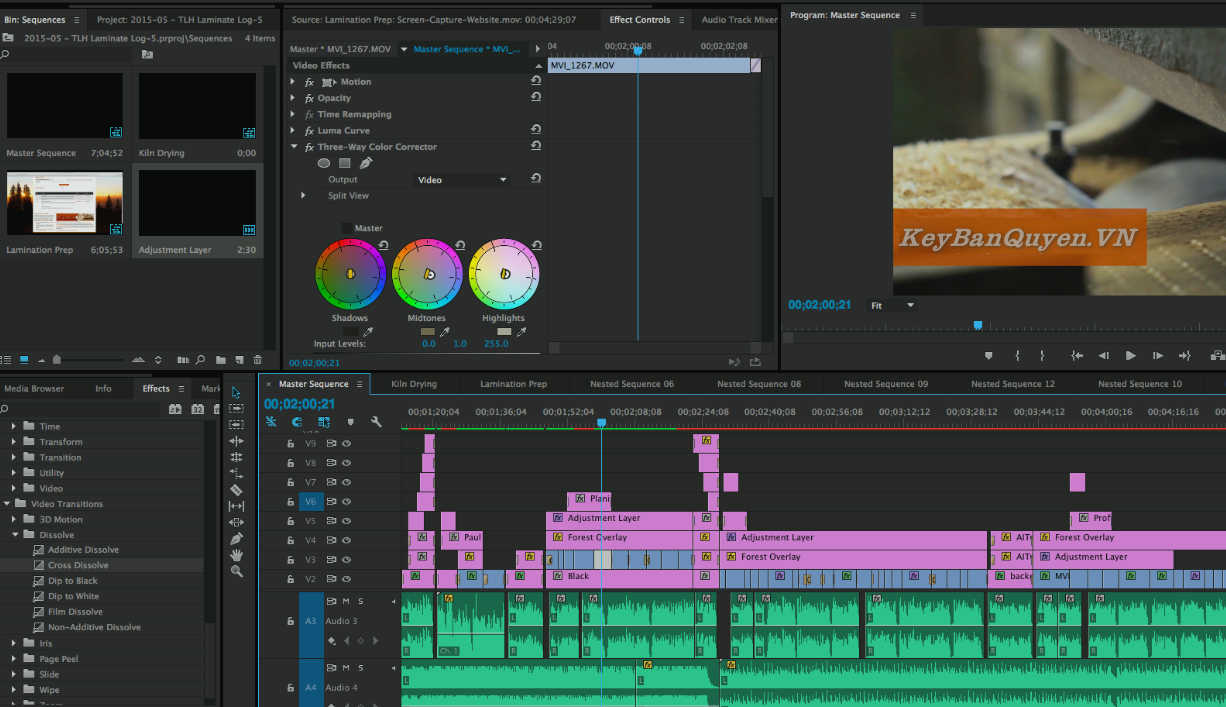 Video tiếng Việt hướng dẫn xử lý màu phim trong Adobe Premiere Pro .