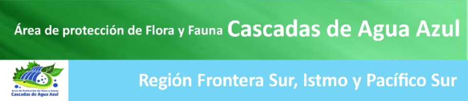 Área de Protección de Flora y Fauna Cascadas de Agua Azul