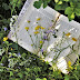 NATURE IN LITERATURE
