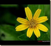 clip_image002