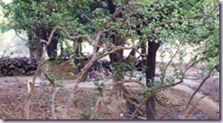 Ram Singh Hut