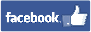 Facebook Text Logo.svg