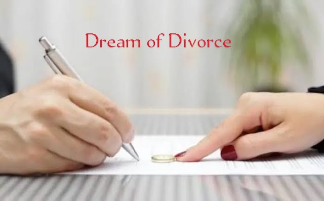 Dream of divorce | Dream of Diver | Dream of Divination | Dream of Divorce