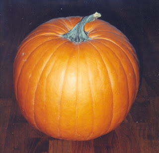 pumpkin