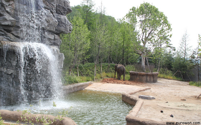 Elefante triste en el parque de atracciones Everland