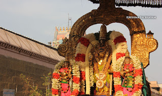 Sri Parthasarathy Swamy, Ekadasi, Ekadesi Purappadu, Triplicane,  Panguni,Purappadu, Thiruvallikeni, Utsavam