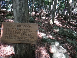 338DSC04393-338