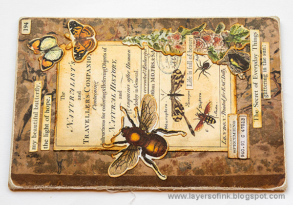 Layers of ink - Vintage Nature Notebook Tutorial by Anna-Karin Evaldsson.