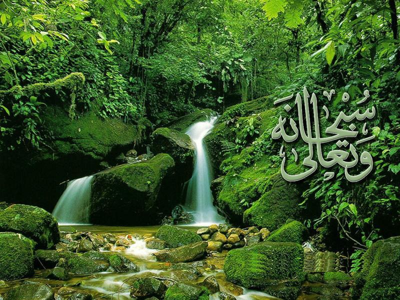 Wallpaper Of Allah. Subhan Allah Green Wallpaper