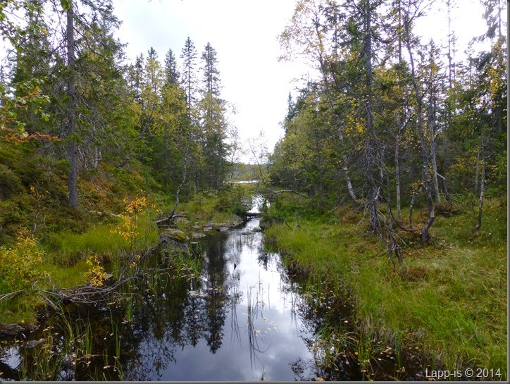 Råsjøen 033