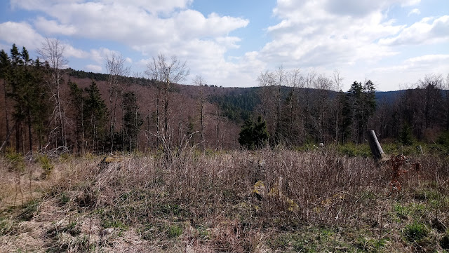 Sauerland wandern Wetter blog Winterberg X6 Robert-Kolb-Weg Höhenflug