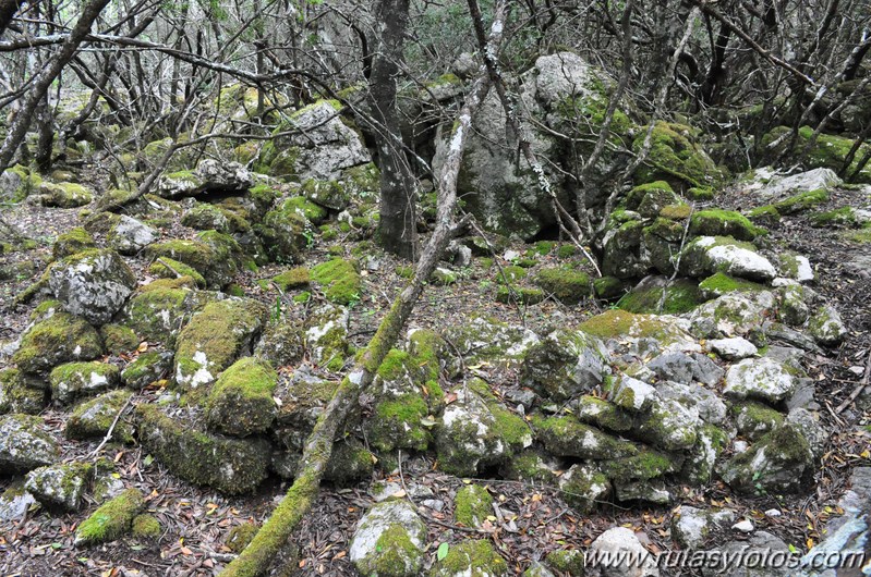 Llanos del Campo - Tesorillo - Cerro del Granadillo - Cerro de las Cuevas - Llanos del Berral