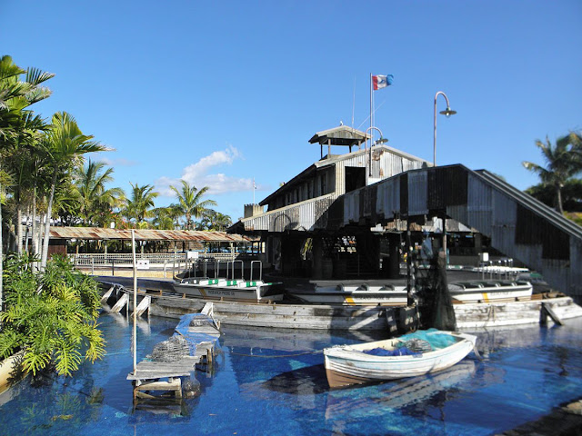 Sea World Gold Coast