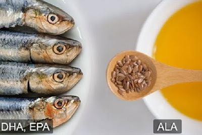 Những dạng axit béo omega-3