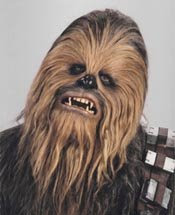 Chewbacca - my muse