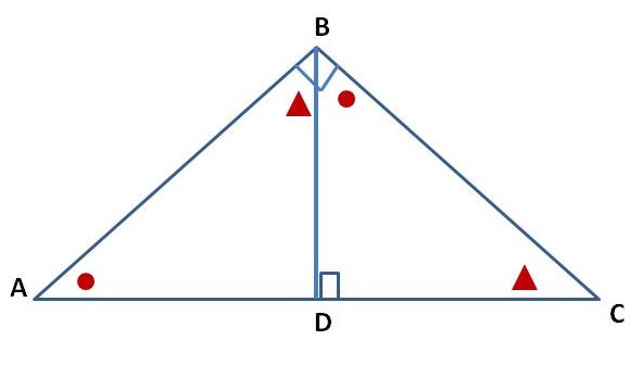 Ratios And Proportions Worksheets. proportions worksheet