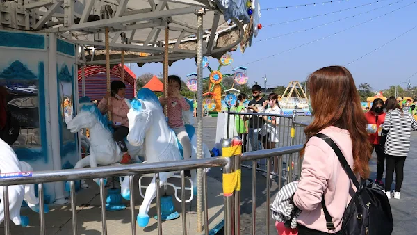 春節田尾走春賞花海 星光燈海隧道越夜越美麗