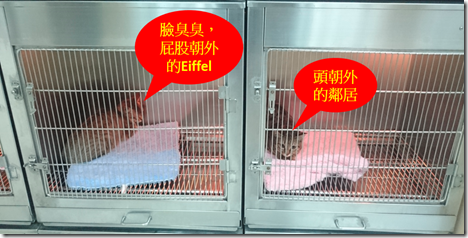 螢幕截圖 2016-03-09 22.43.28