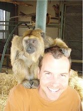 There´s a monkey on me!