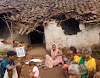 हाथियो ने बुढार में रह कर मचाया तांडव, कई परिवार बेघर, अब वापस लौटे जैतहरी मार्ग पर