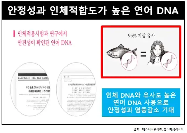 여에스더말엘라스틴-연어DNA