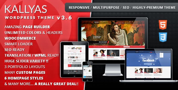 http://themeforest.net/item/kallyas-responsive-multipurpose-wordpress-theme/4091658?ref=davbel