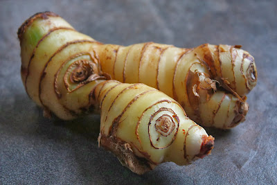 Galangal