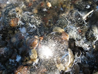 Frozen bubbles