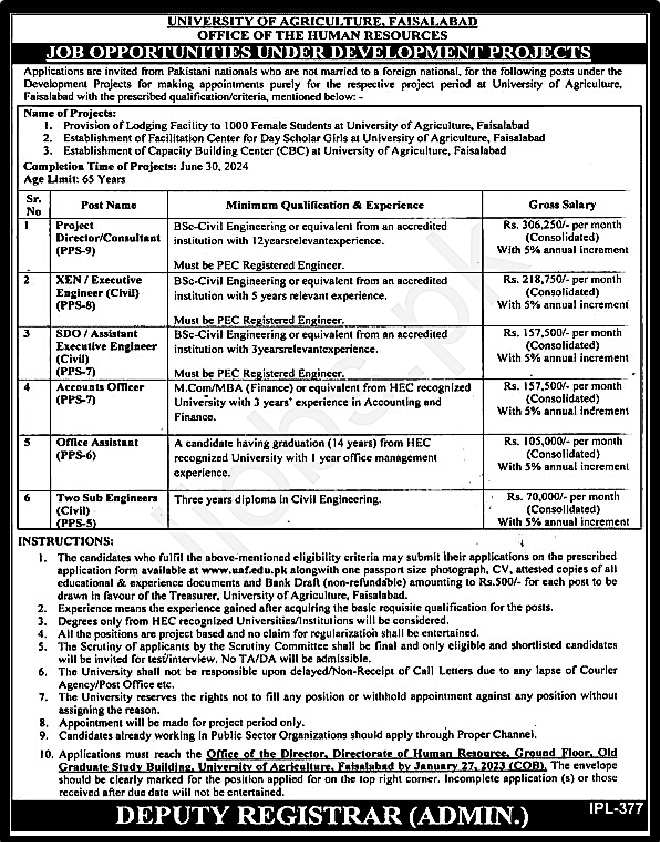 University of Agriculture Faisalabad Jobs 2023