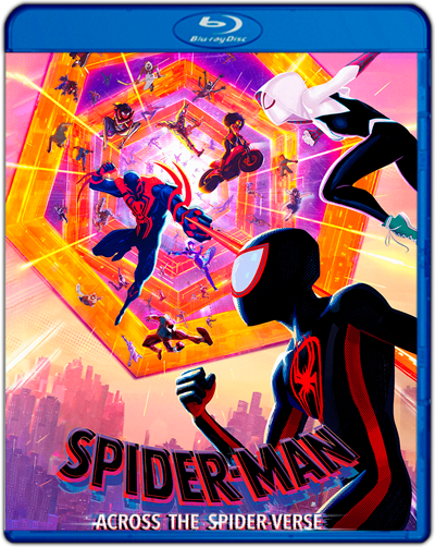 Spider-Man-Across-the-Spider-Verse-H264.png