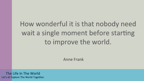  How wonderful it is that nobody need wait a single moment before starting to improve the world.