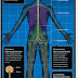  Nerve disorders