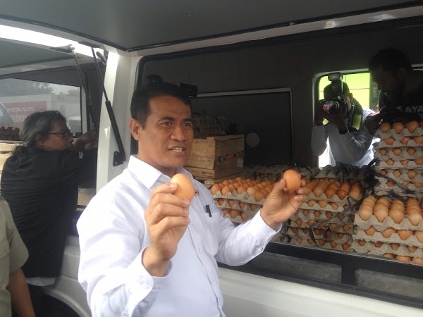 Sebut Kenaikan Harga Telur Efek Musim Haji, Gerindra: Pemerintah Amatiran!