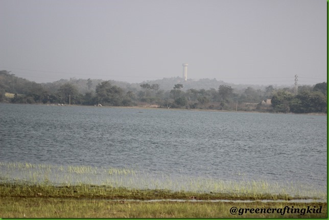 Lake view