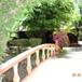 View album