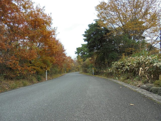 299号道路赤松淀江線の紅葉