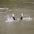 Pria Lompat ke Sungai Siak Ditemukan Tewas