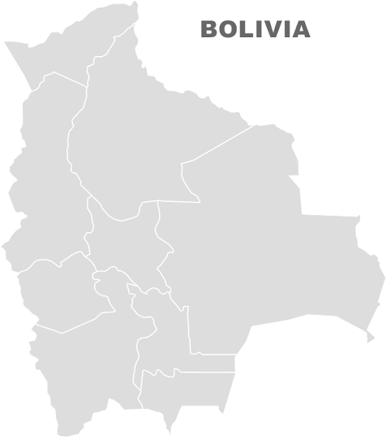 image: Printable Outline Bolivia Blank Map