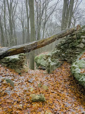 Zamek w Ostrężniku