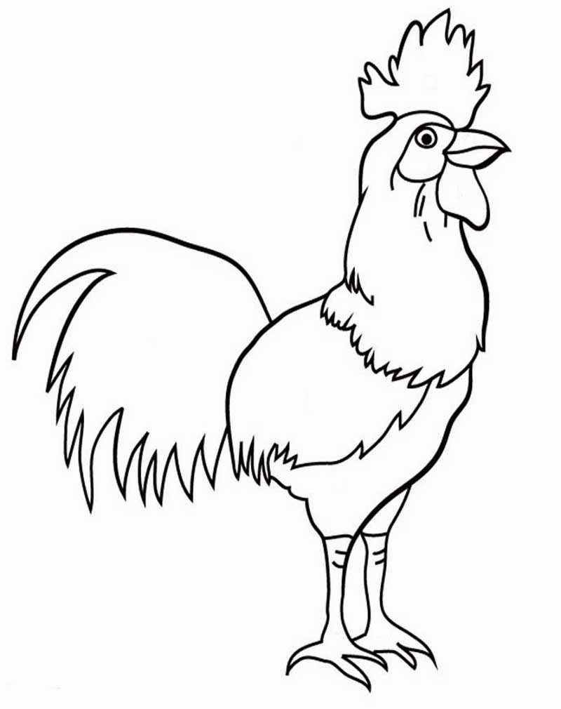 Pin Ayam  kartun gambar  animasi on Pinterest
