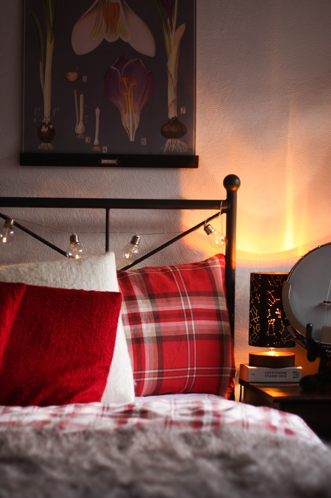 Unique lighting ideas to cosy up your home