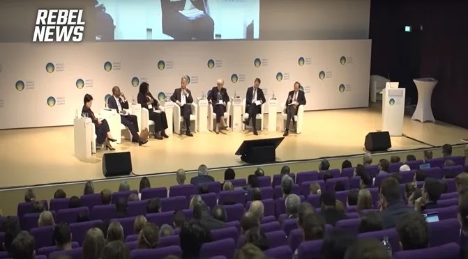 THEY LIED TO US: World Health Summit Member Admits COVID Lockdowns Were Political Not Scientific (VIDEO)