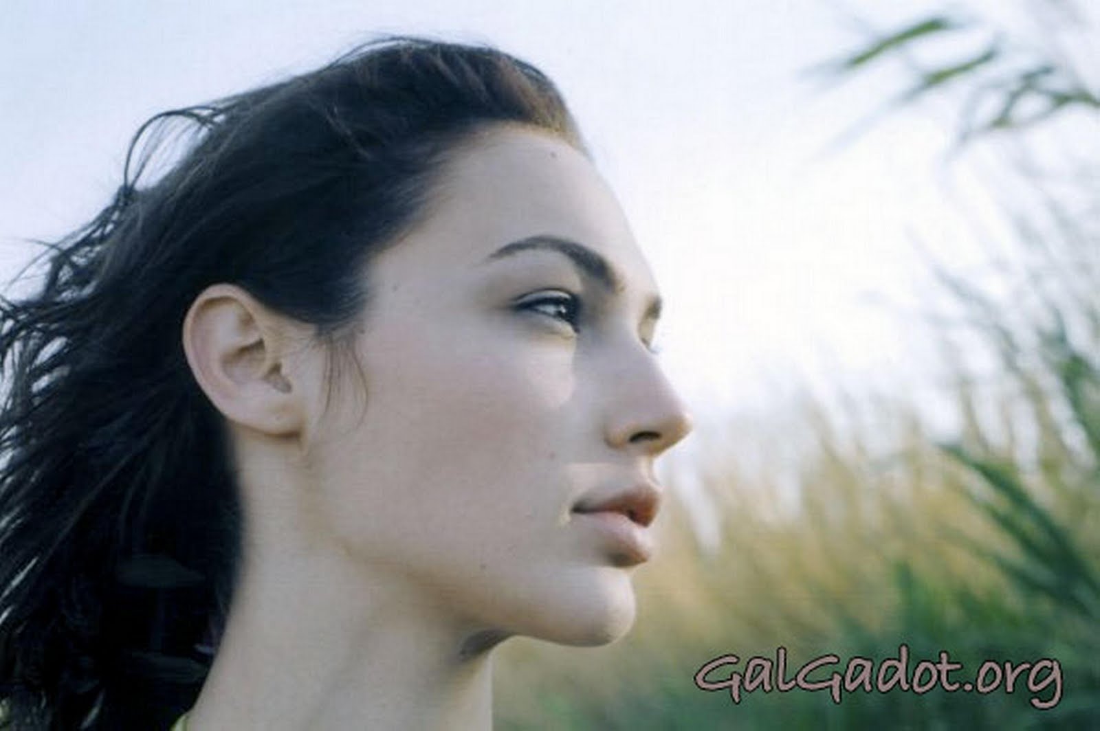 Gal Gadot - Photo Actress